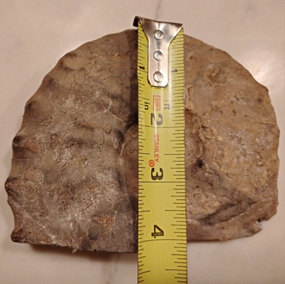 Ammonite Fossil Authentic Matched Pair Set Polished Natural Eco Decor Bookends - Picture 9 of 10